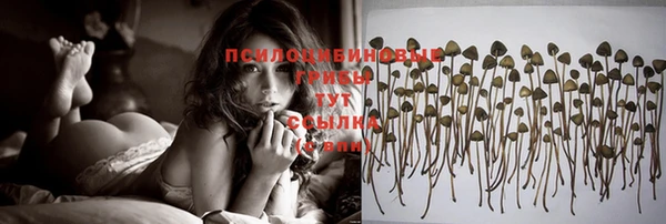кокс Каменка