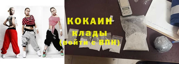 стаф Каменногорск