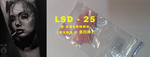 стаф Каменногорск