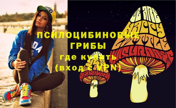 стаф Каменногорск