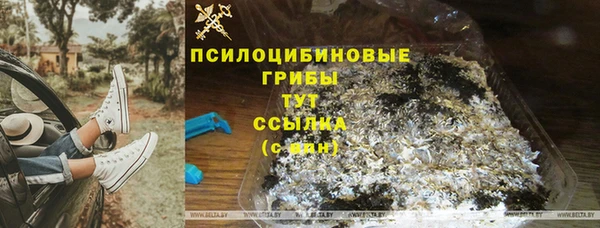 стаф Каменногорск