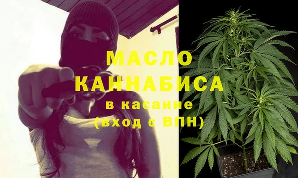 стаф Каменногорск