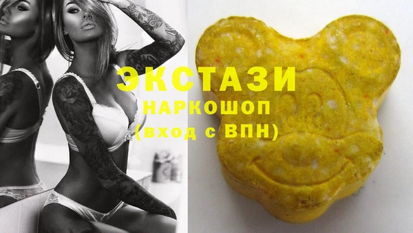 стаф Каменногорск
