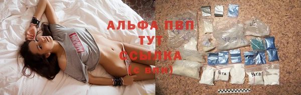 стаф Каменногорск