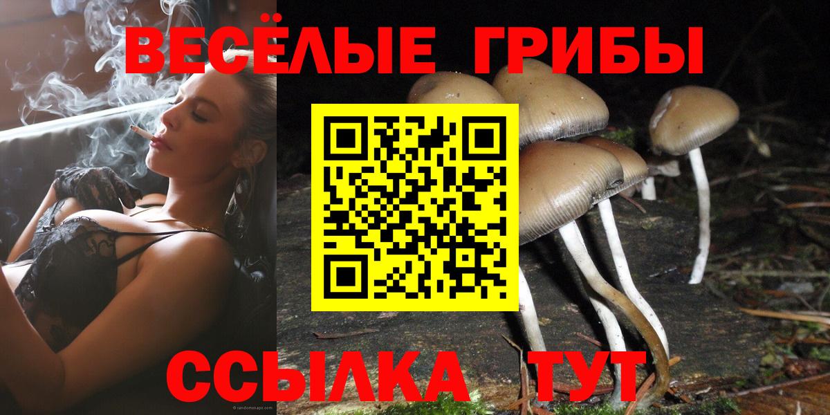 Галлюциногенные грибы прущие грибы  Вход с VPN  Лесозаводск 